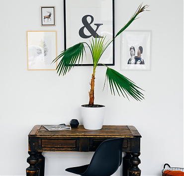 Lorem Ipsum - Lorem ipsum dolor sit amet, mel et lorem fastidii offendit, cum graecis feugait ad.